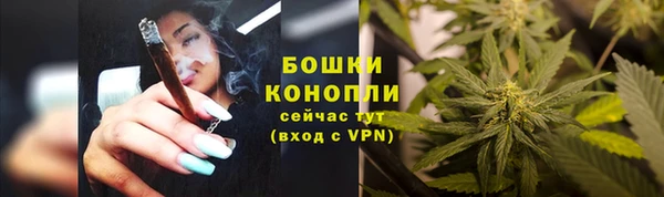 ALPHA-PVP Богородицк