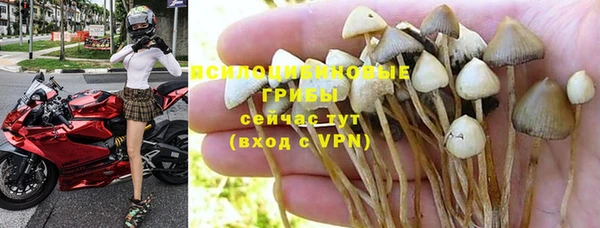 ALPHA-PVP Богородицк