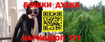 гашик Бузулук