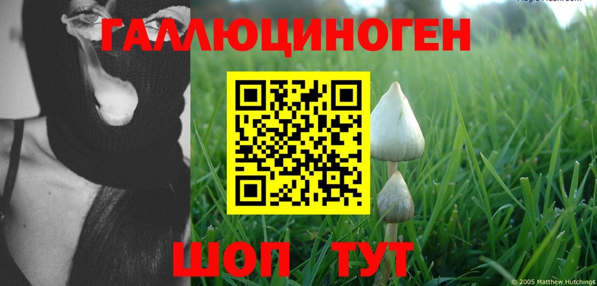 Гулькевичи  Псилоцибиновые грибы Psilocybine cubensis  Псилоцибиновые грибы MAGIC MUSHROOMS  Вход с VPN 
